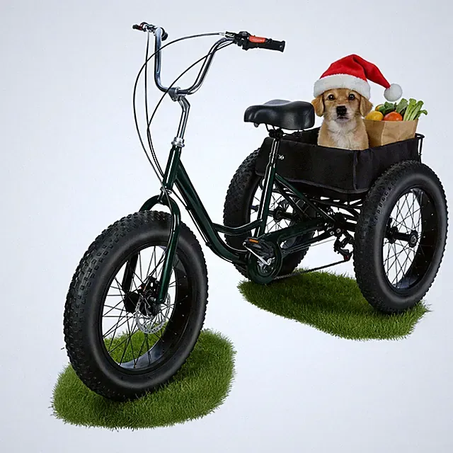 20 Inch Adult 3 Wheel Cruiser Bike Snow Tiers Urban Tricycle 7 Speed Drift Trike