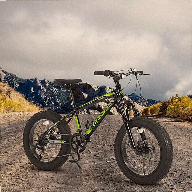 7 Speed Wide Tires Kid Mountain Bike 20 In for 8-14 Ages Snow & Off-Road Riding