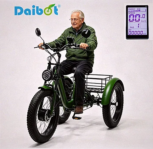 Daibot 24 Inch Fat Tire Electric Tricycle 750W 15AH Adults Snow Mountain E Bike