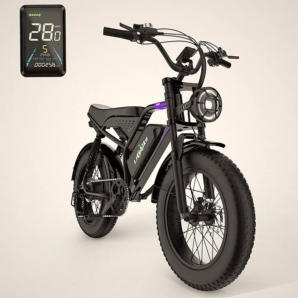 adult electric bicycles snow tires